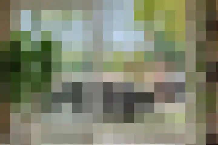 Kulertseweg 19 Deurne thumbnail 15