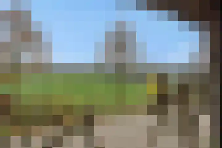 Kulertseweg 19 Deurne thumbnail 33