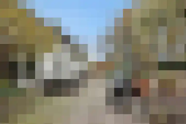 Kulertseweg 19 Deurne thumbnail 47