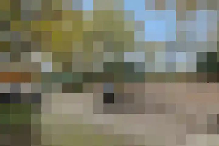 Kulertseweg 19 Deurne thumbnail 49