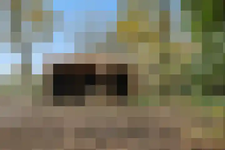 Kulertseweg 19 Deurne thumbnail 51