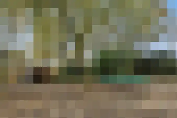 Kulertseweg 19 Deurne thumbnail 52