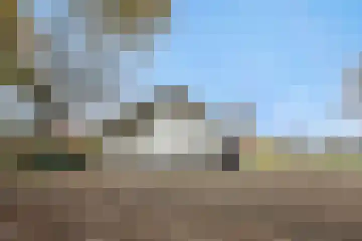 Kulertseweg 19 Deurne thumbnail 53