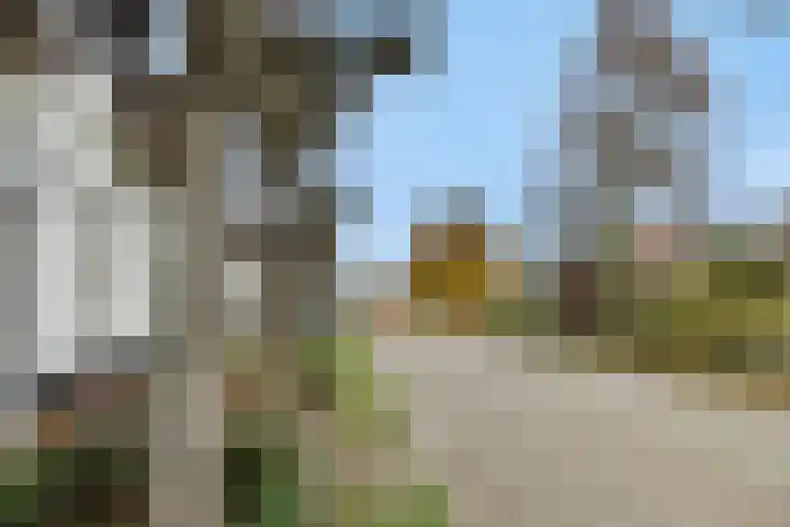 Kulertseweg 19 Deurne thumbnail 55
