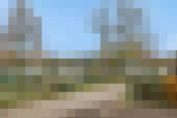 Kulertseweg 19 Deurne thumbnail 57