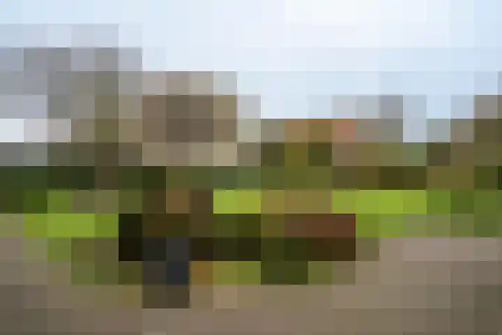 Kulertseweg 28 Deurne thumbnail 19