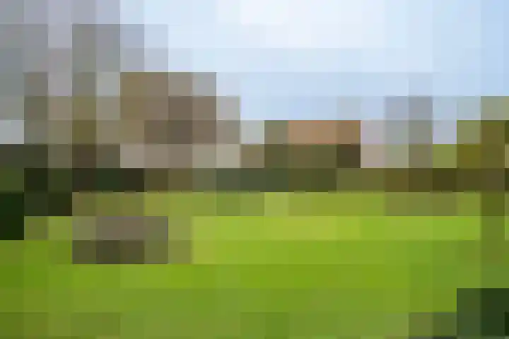 Kulertseweg 28 Deurne thumbnail 20