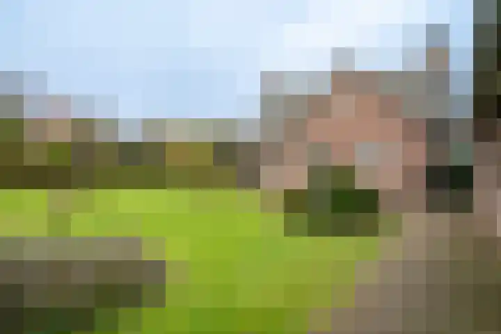 Kulertseweg 28 Deurne thumbnail 21