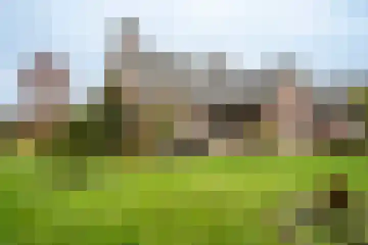 Kulertseweg 28 Deurne thumbnail 25