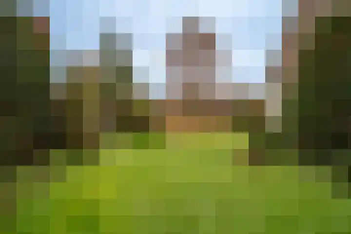 Kulertseweg 28 Deurne thumbnail 26