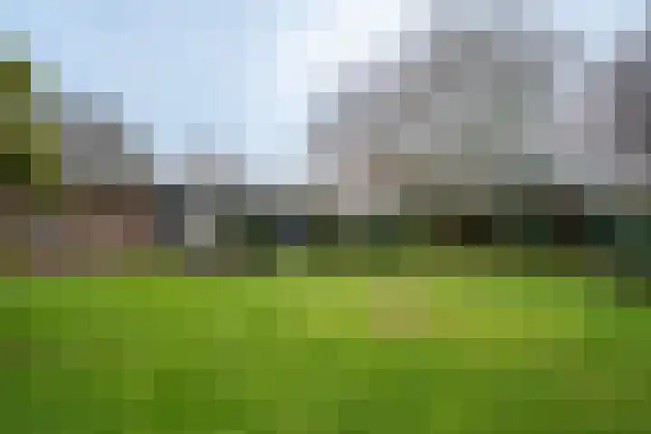 Kulertseweg 28 Deurne thumbnail 29