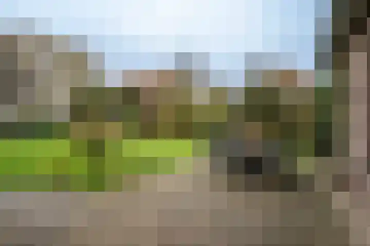 Kulertseweg 28 Deurne thumbnail 31