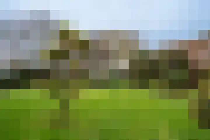 Kulertseweg 28 Deurne thumbnail 32