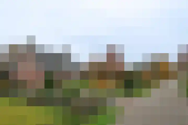 Kulertseweg 28 Deurne thumbnail 4