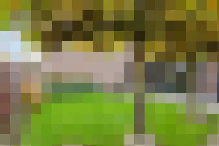 Kulertseweg 4 Deurne thumbnail 23