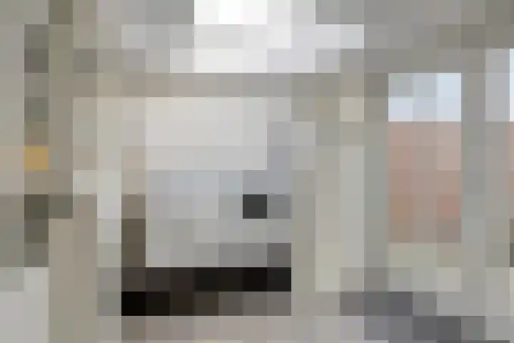 Kulertseweg 4 Deurne thumbnail 9