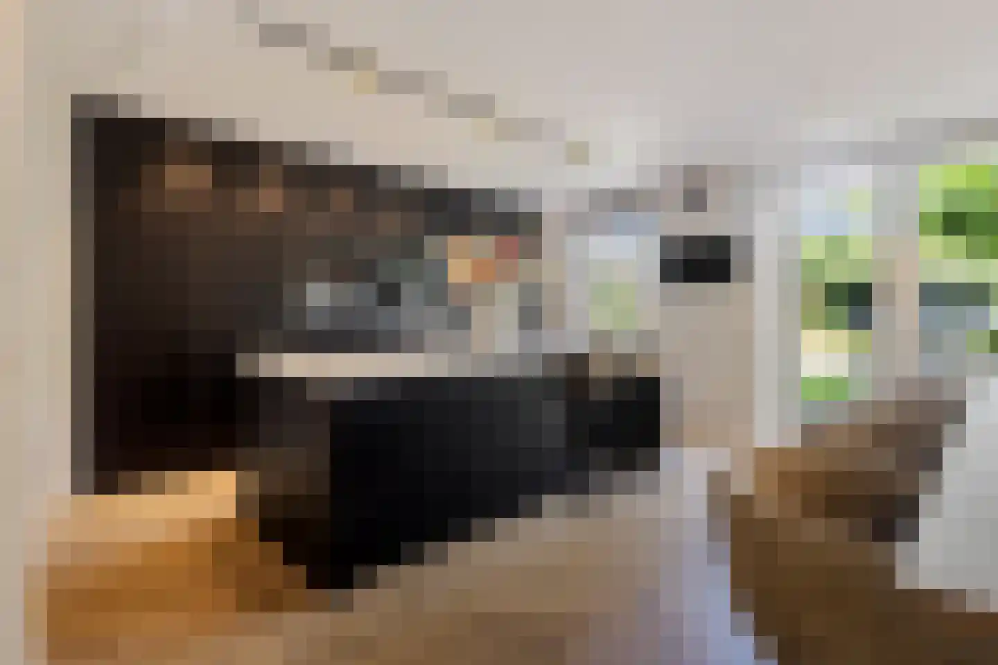 Küllerlaan 18 Soesterberg thumbnail 16