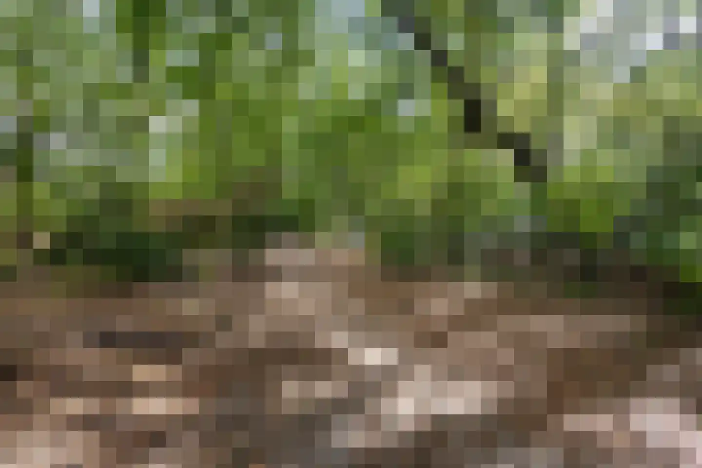 Küllerlaan 18 Soesterberg thumbnail 45