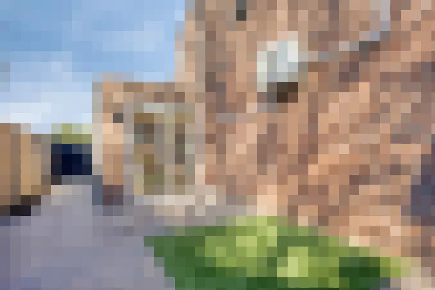 Küllerlaan 24 Oisterwijk thumbnail 38
