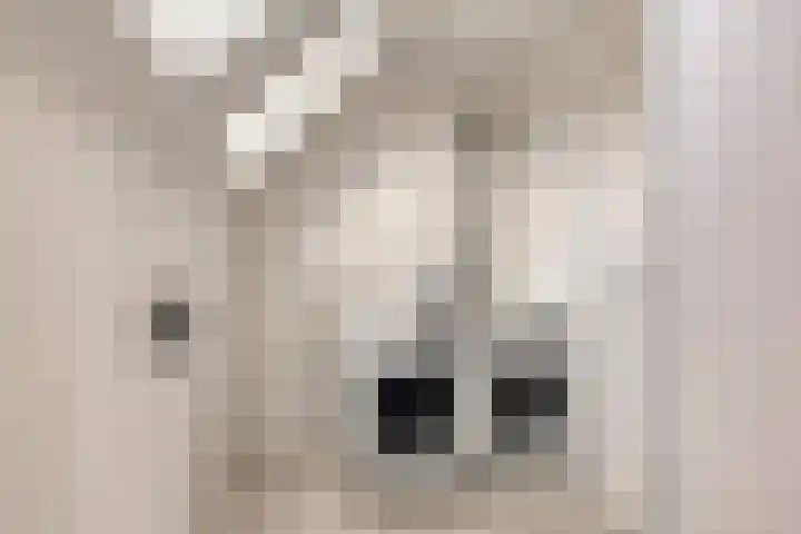Küllerlaan 26 Soesterberg thumbnail 36