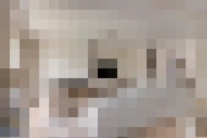 Küllerlaan 26 Soesterberg thumbnail 9