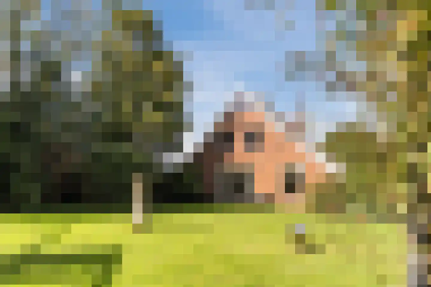 Kulsdom 3 Geesteren thumbnail 101