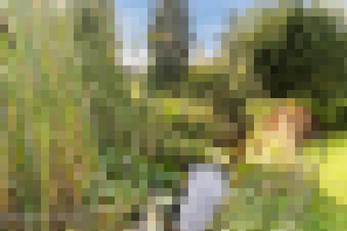 Kulsdom 3 Geesteren thumbnail 103
