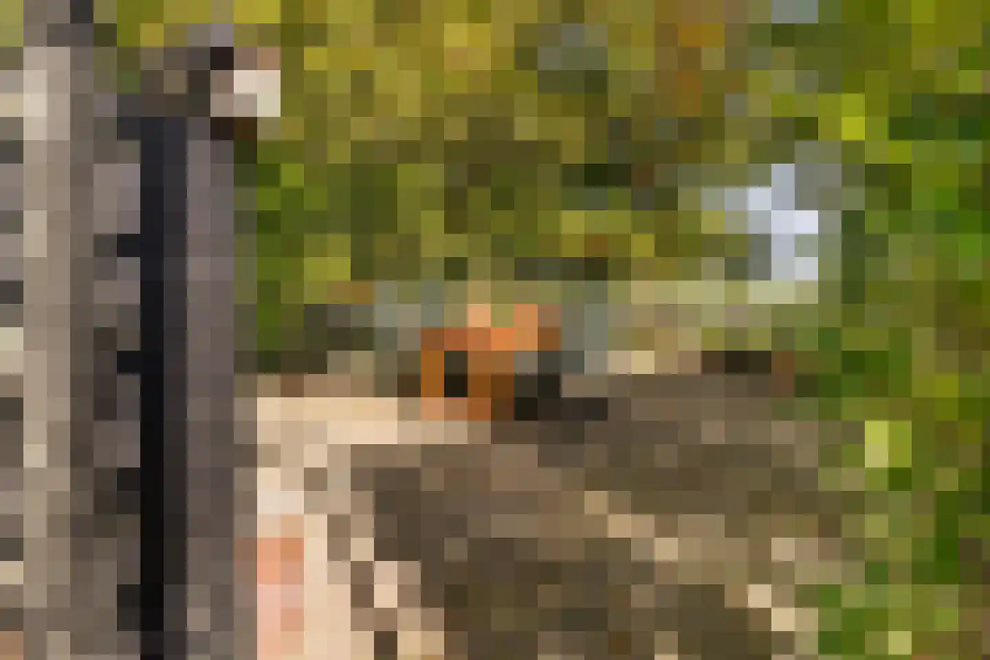 Kulsdom 3 Geesteren thumbnail 104