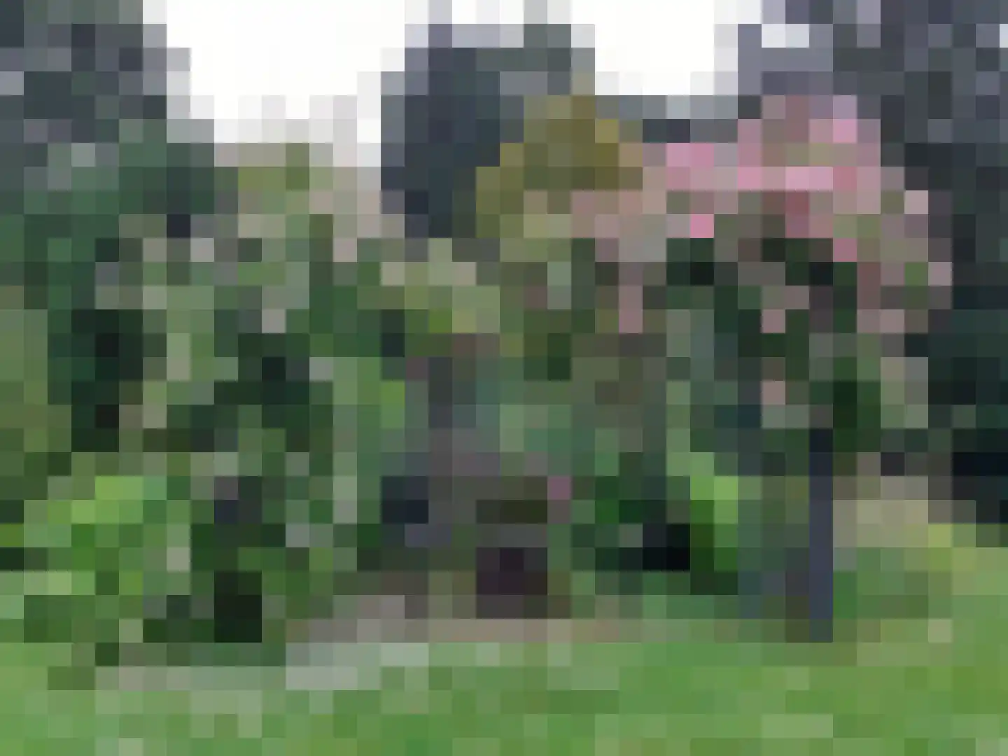 Kulsdom 3 Geesteren thumbnail 111