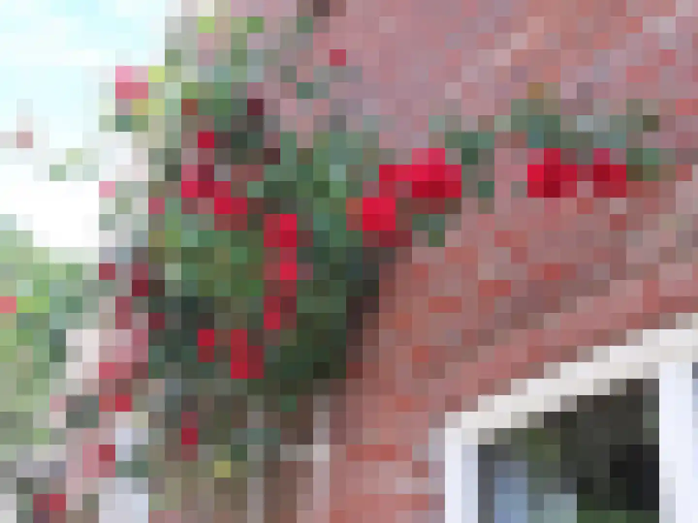 Kulsdom 3 Geesteren thumbnail 112
