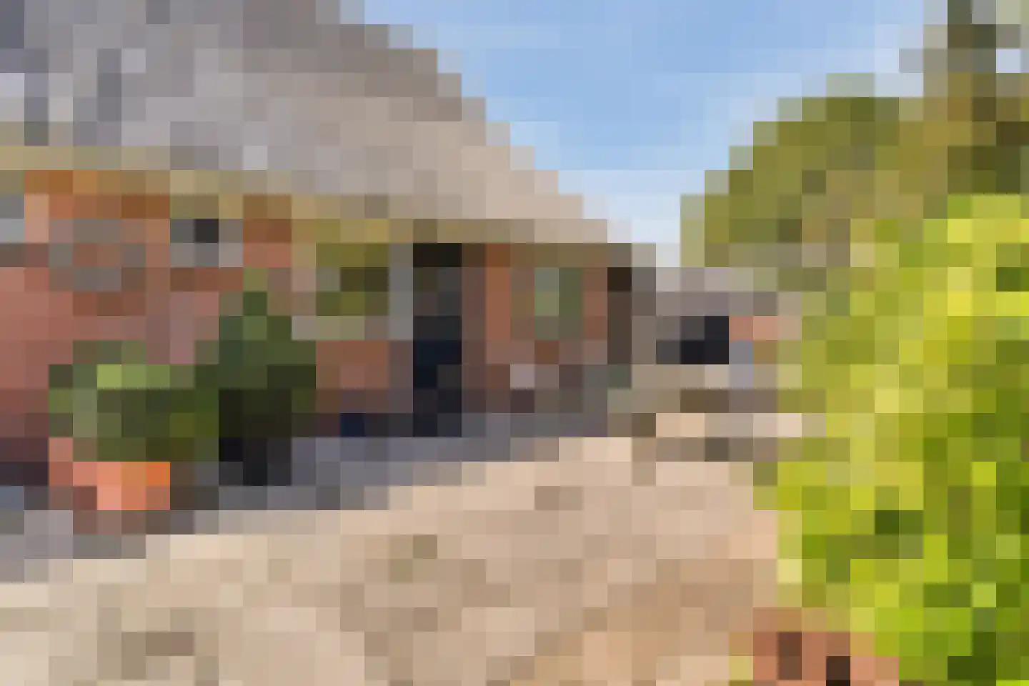 Kulsdom 3 Geesteren thumbnail 14