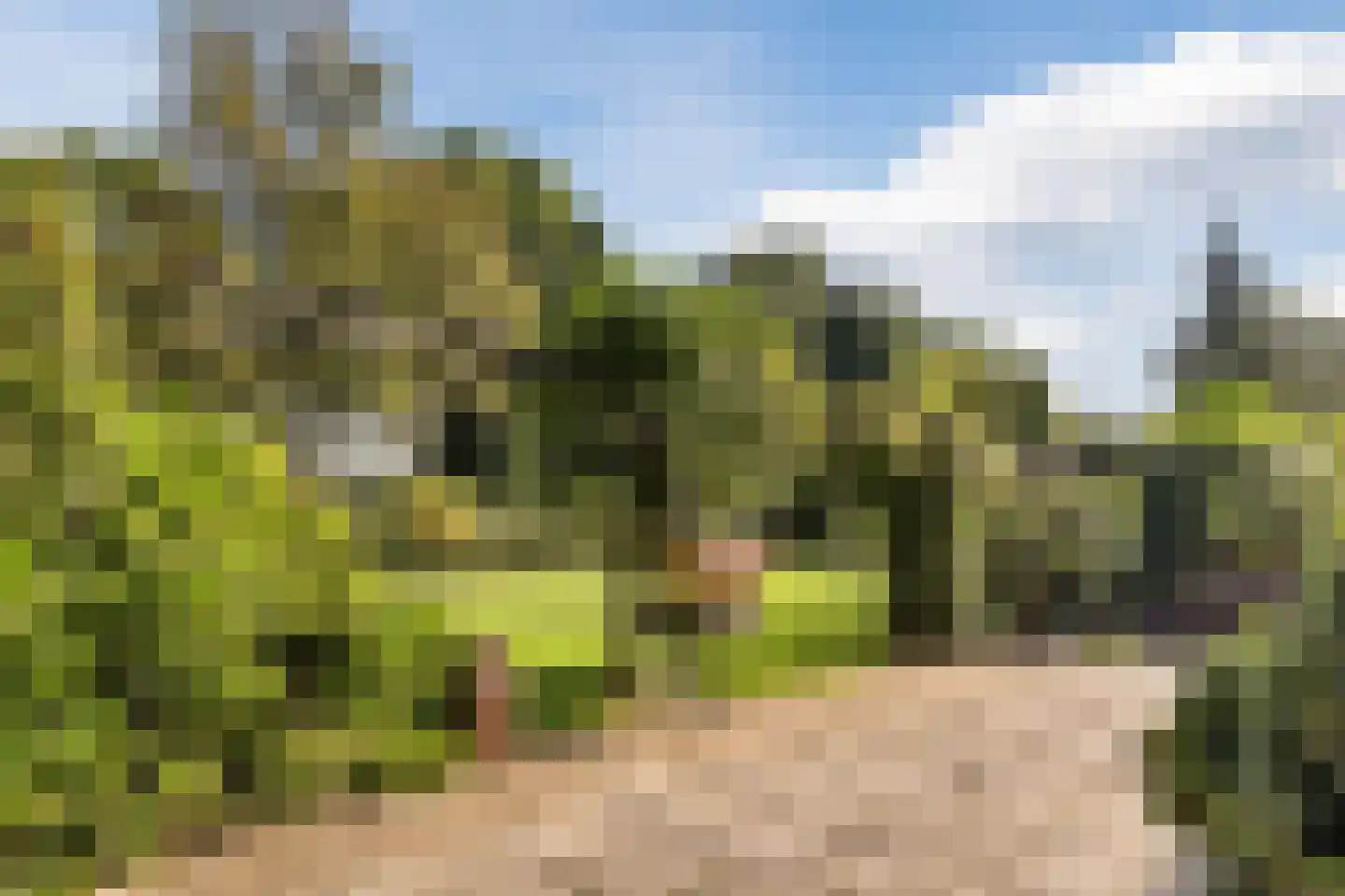 Kulsdom 3 Geesteren thumbnail 16