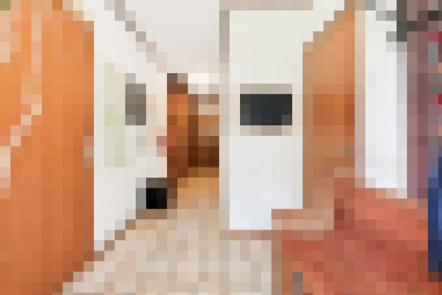 Kulsdom 3 Geesteren thumbnail 51