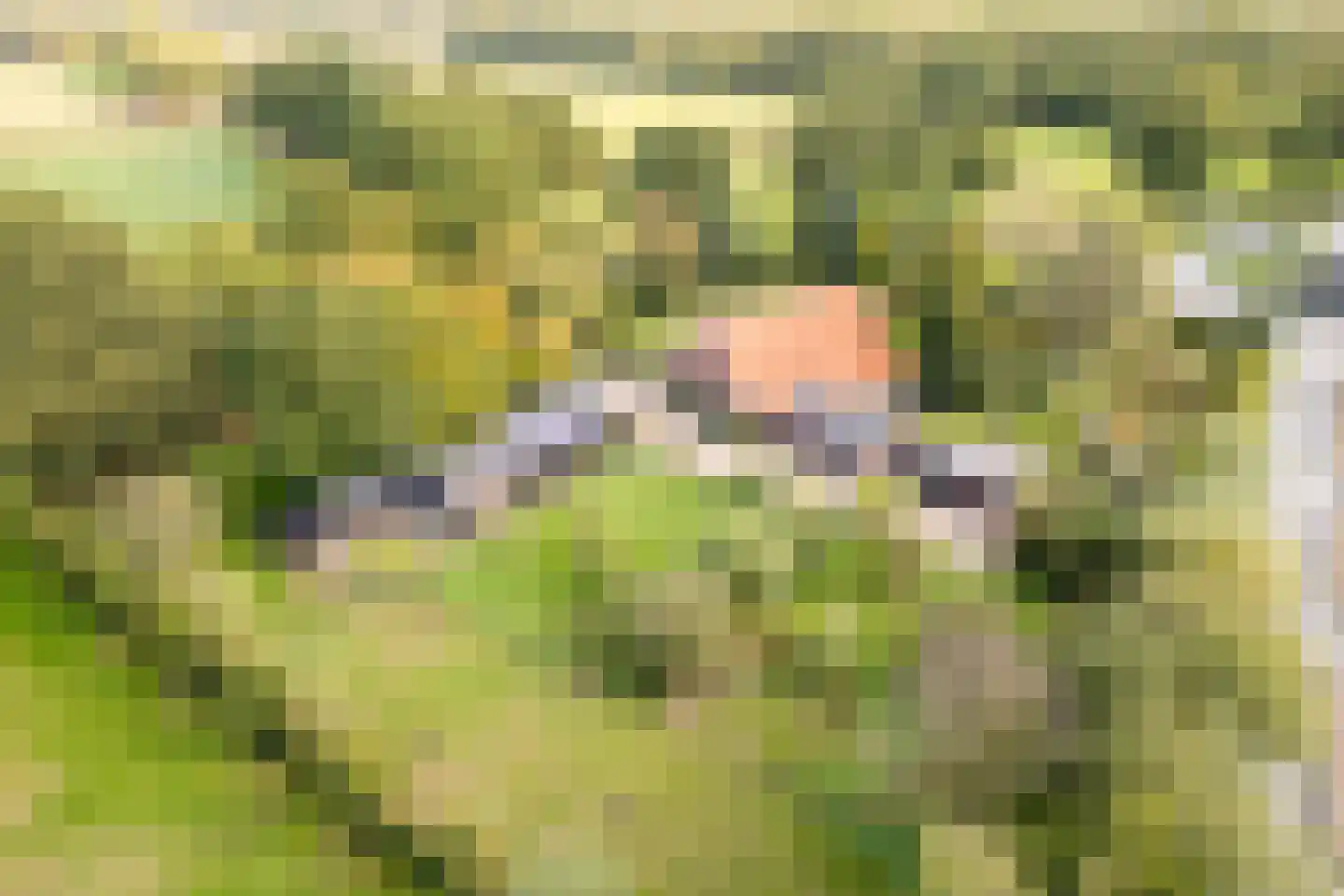 Kulsdom 3 Geesteren thumbnail 6