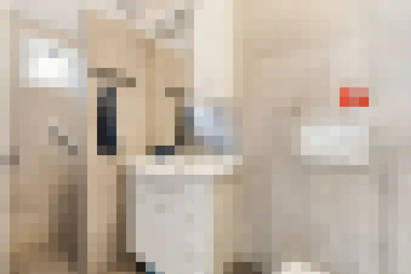 Kulsdom 3 Geesteren thumbnail 61