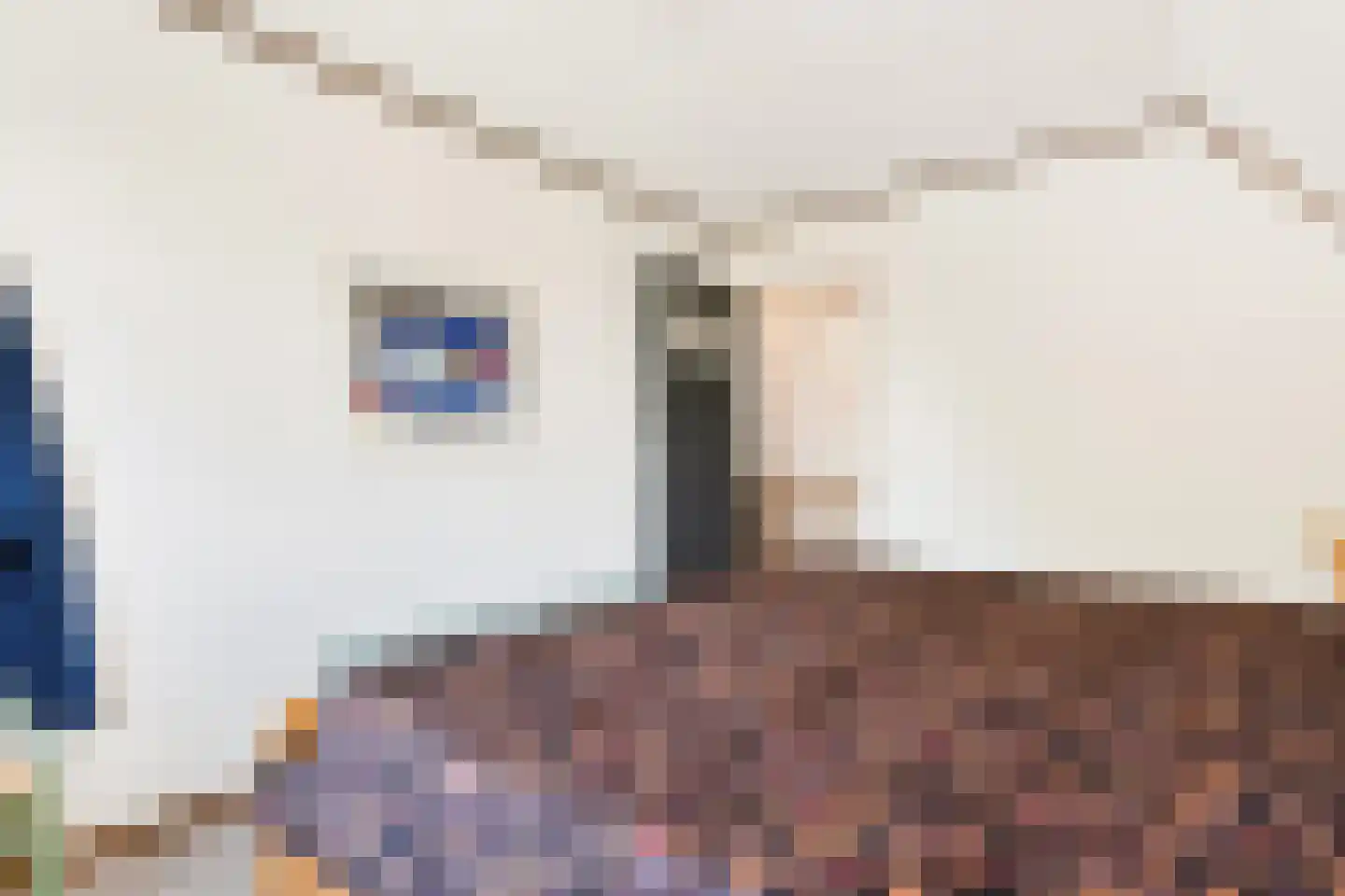 Kulsdom 3 Geesteren thumbnail 64