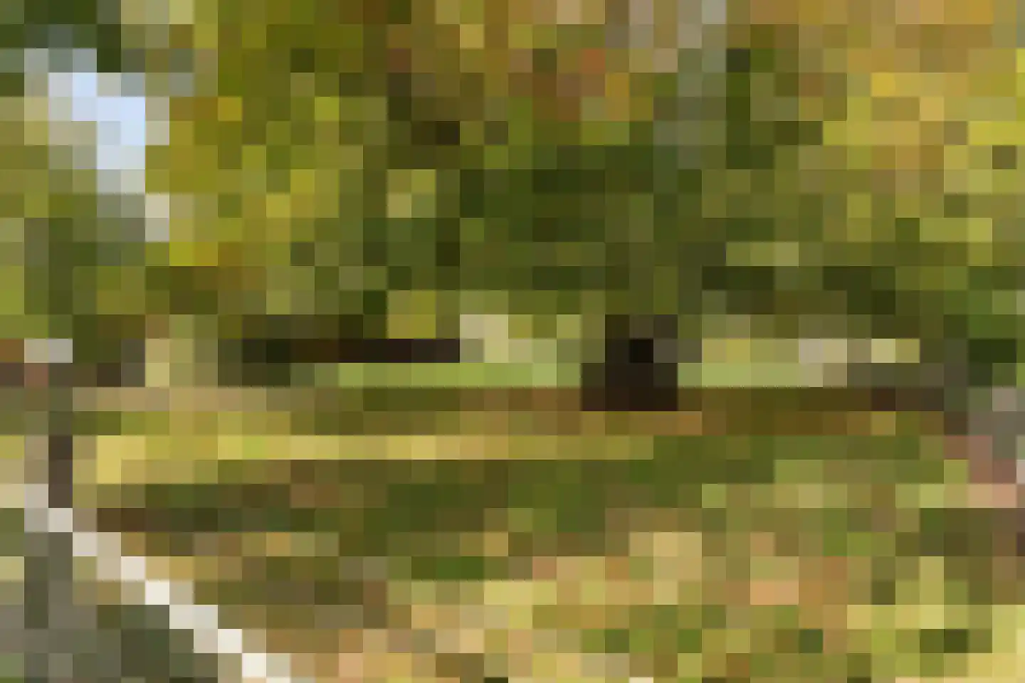Kulsdom 3 Geesteren thumbnail 69