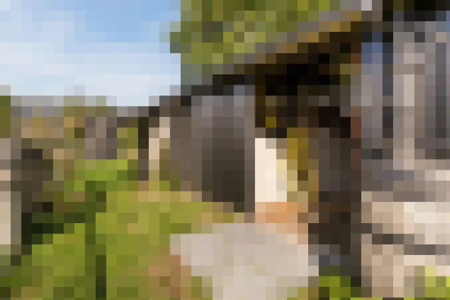Kulsdom 3 Geesteren thumbnail 70