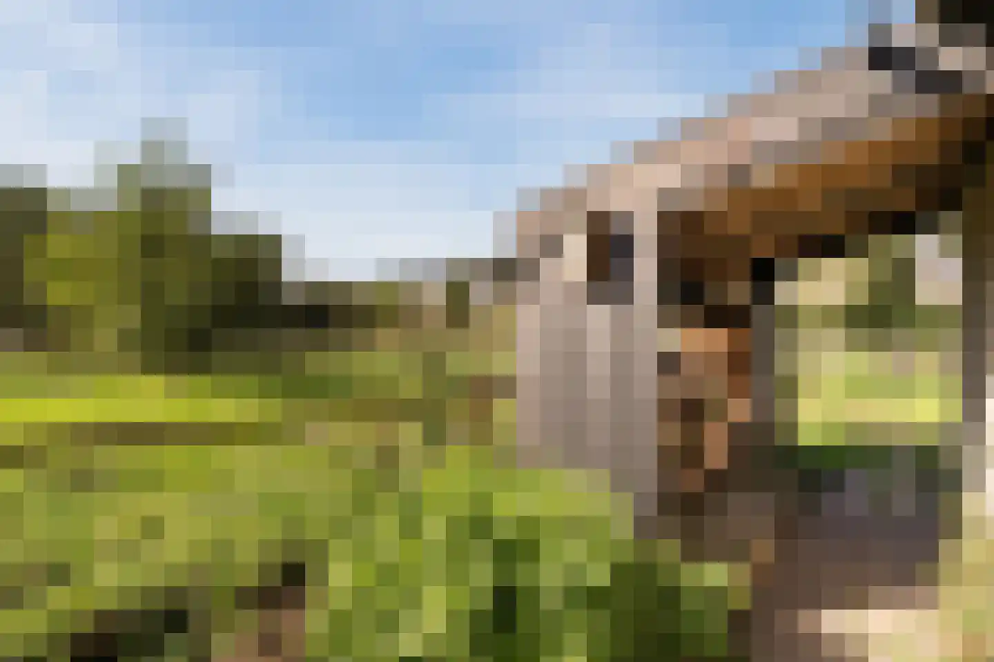 Kulsdom 3 Geesteren thumbnail 74