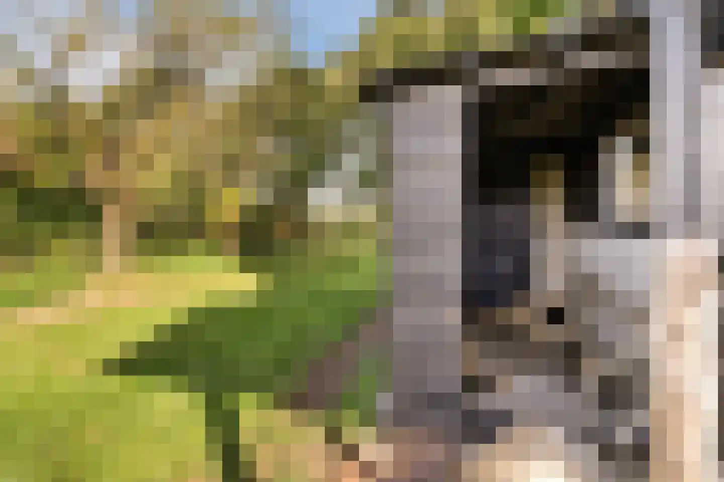 Kulsdom 3 Geesteren thumbnail 75