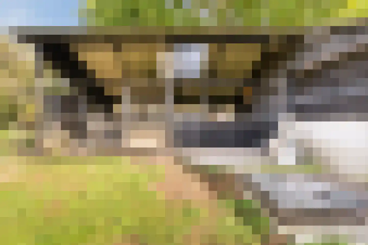 Kulsdom 3 Geesteren thumbnail 76