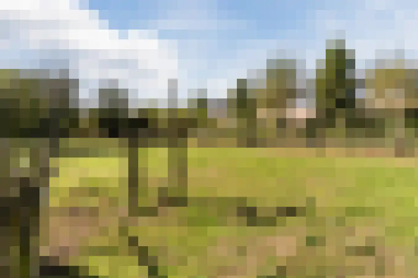 Kulsdom 3 Geesteren thumbnail 77