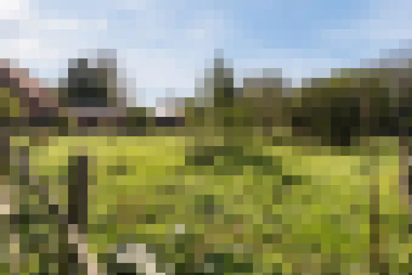 Kulsdom 3 Geesteren thumbnail 78