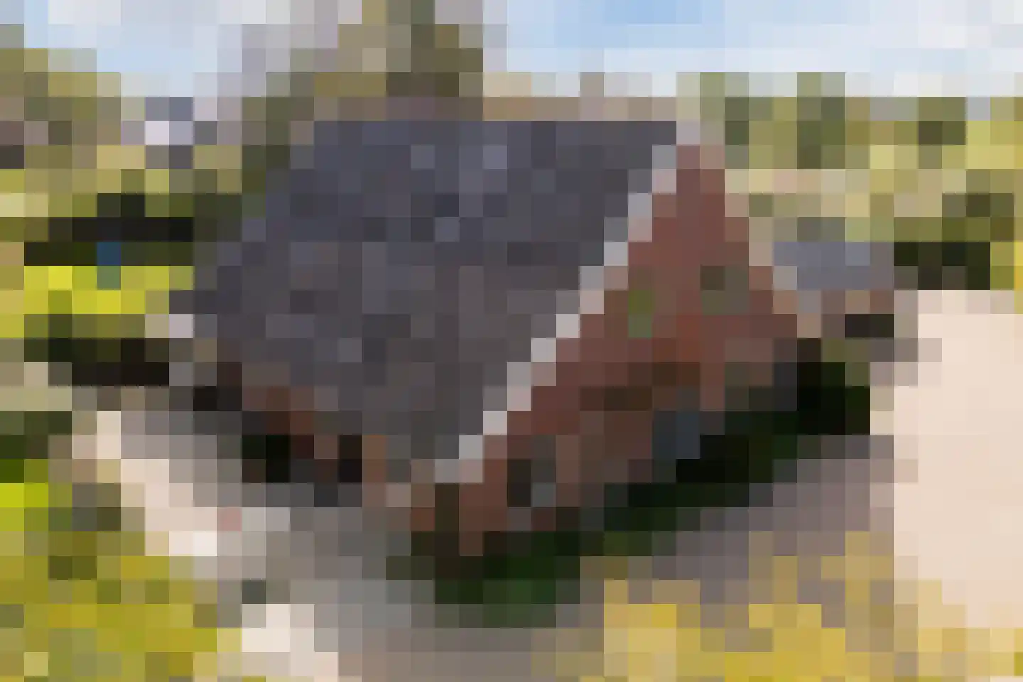 Kulsdom 3 Geesteren thumbnail 8