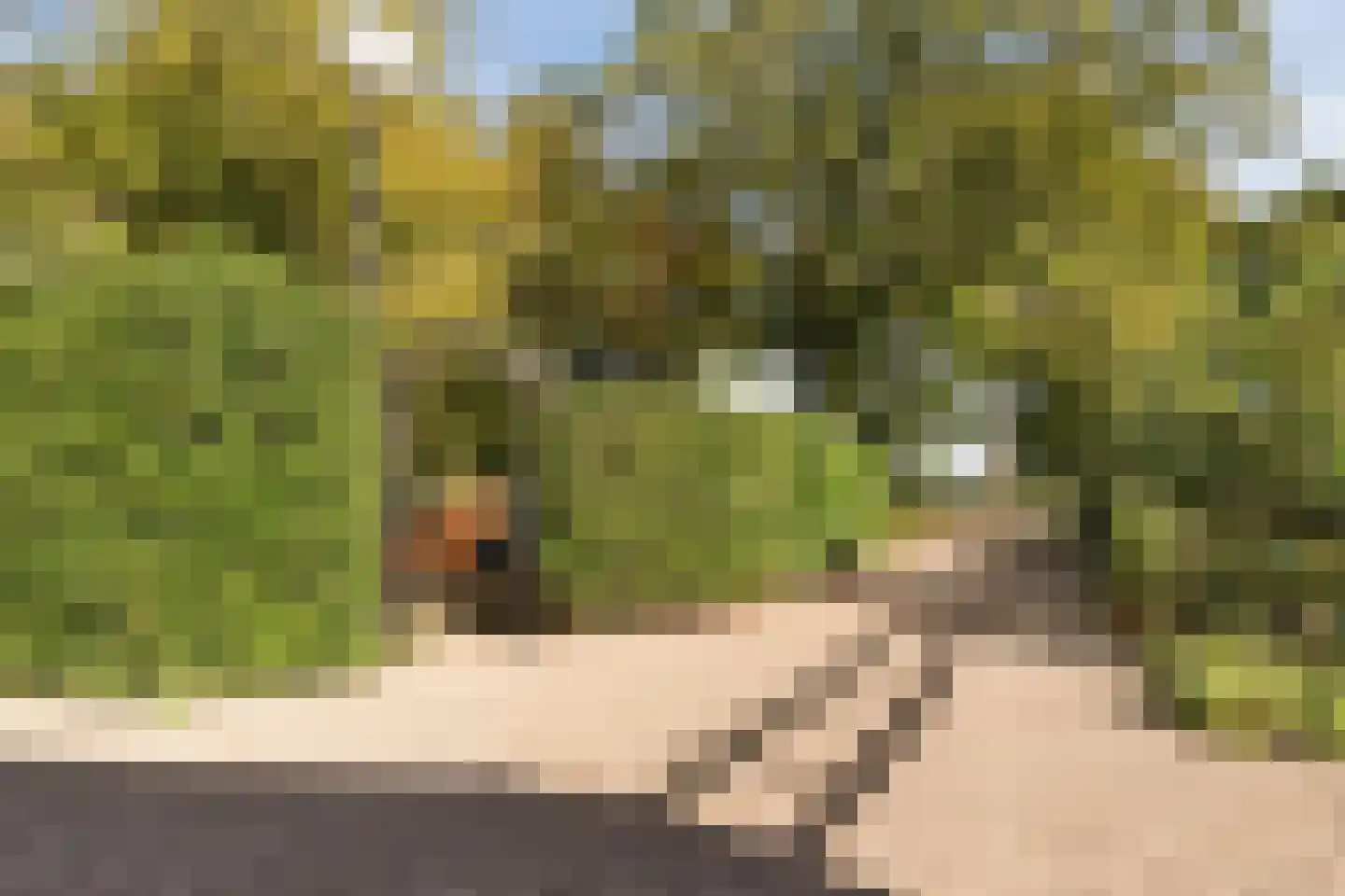 Kulsdom 3 Geesteren thumbnail 86