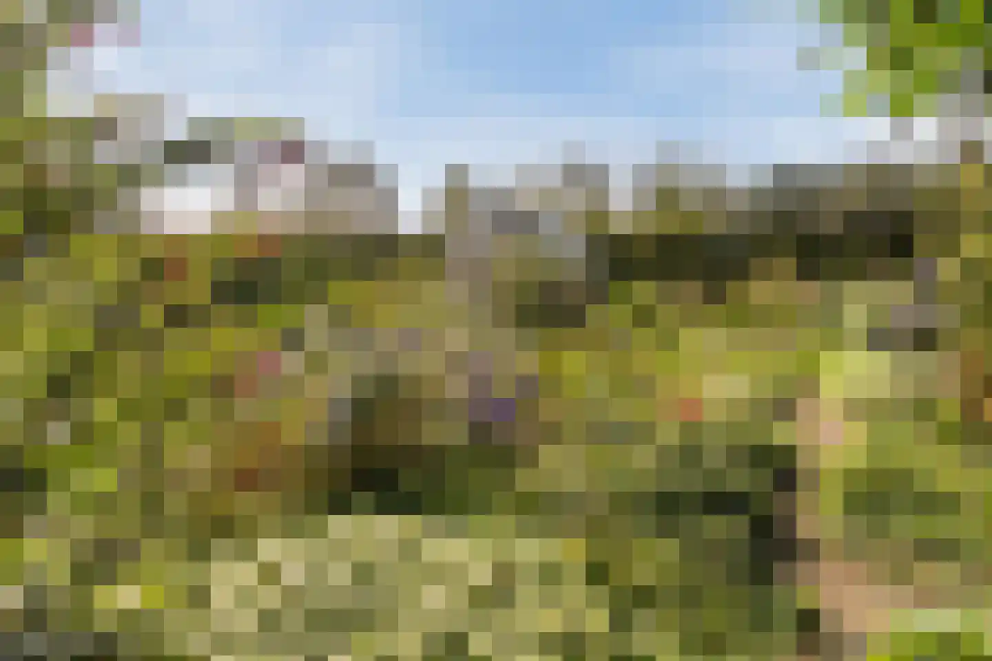Kulsdom 3 Geesteren thumbnail 91