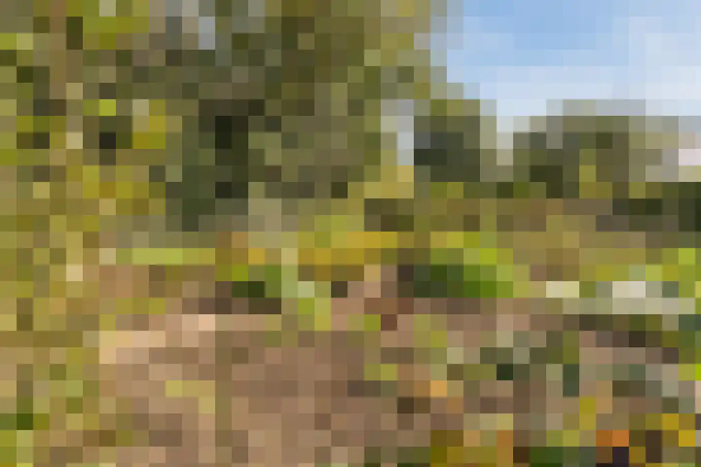 Kulsdom 3 Geesteren thumbnail 94