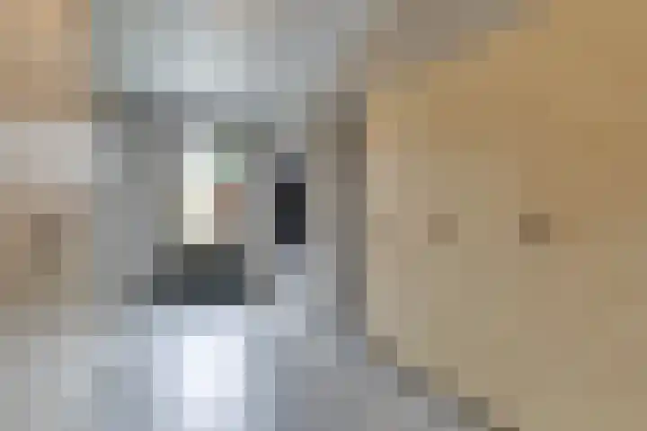 Kulturweide 11 Babberich thumbnail 29