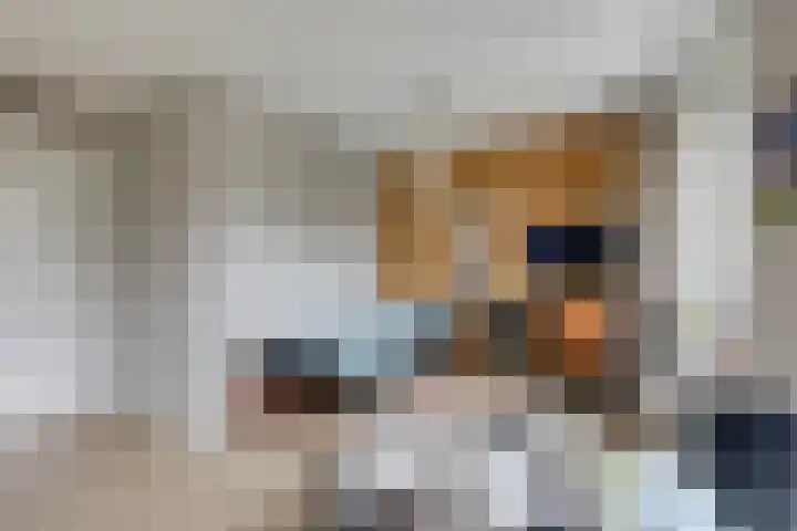 Kulturweide 11 Babberich thumbnail 34