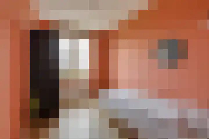 Kulturweide 11 Babberich thumbnail 37